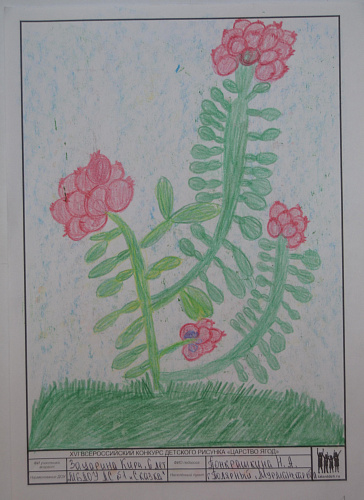 ������� ������