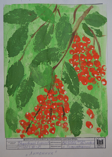 ���� ����